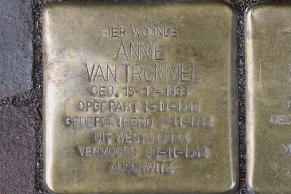 Stolpersteine Fahrenheitstraat 498 #5