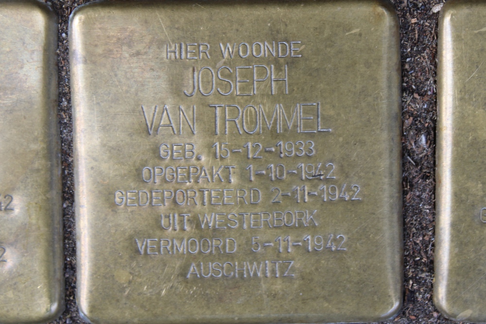Stolpersteine Fahrenheitstraat 498 #6