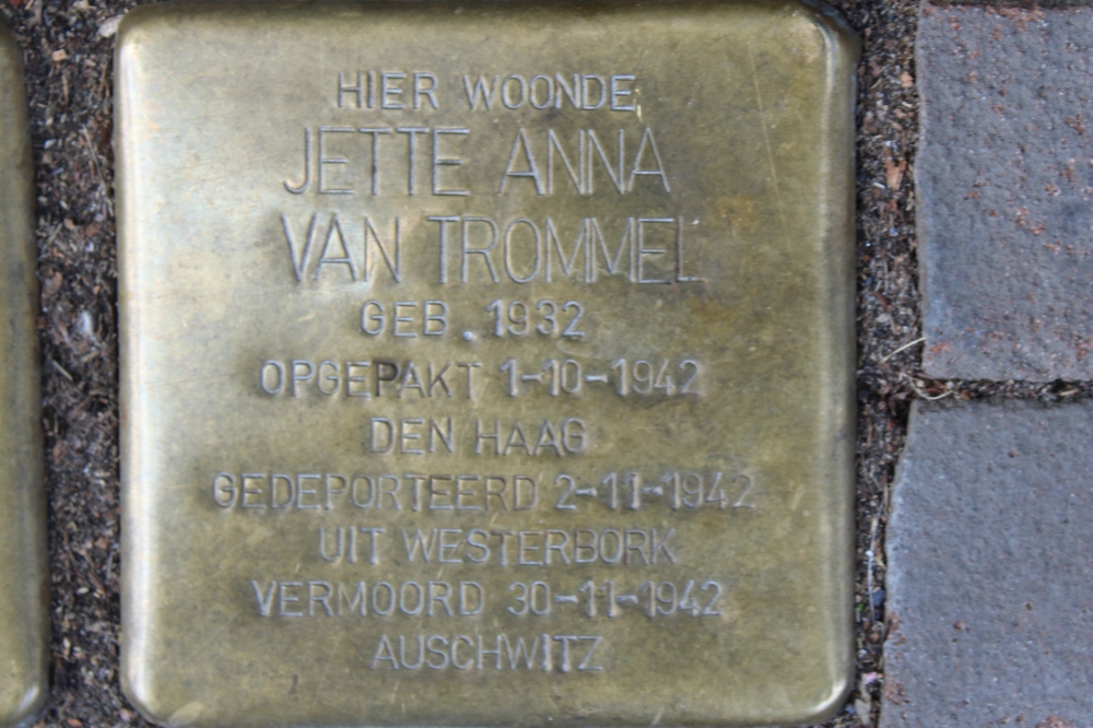 Stolpersteine Fahrenheitstraat 498 #7