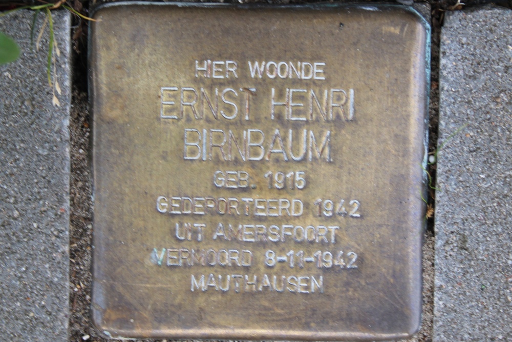 Stumbling Stone Hugo de Grootplein 11