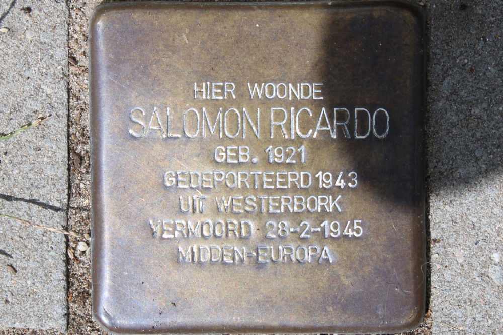 Stumbling Stone Hugo de Grootstraat 58