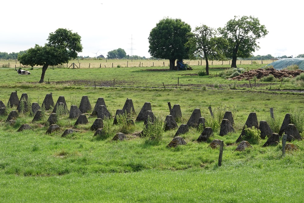 Westwall - Tankversperring #4