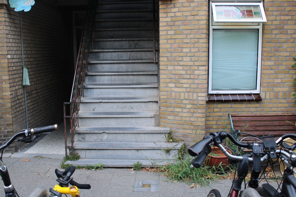 Stumbling Stone Vlierboomstraat 337 #2
