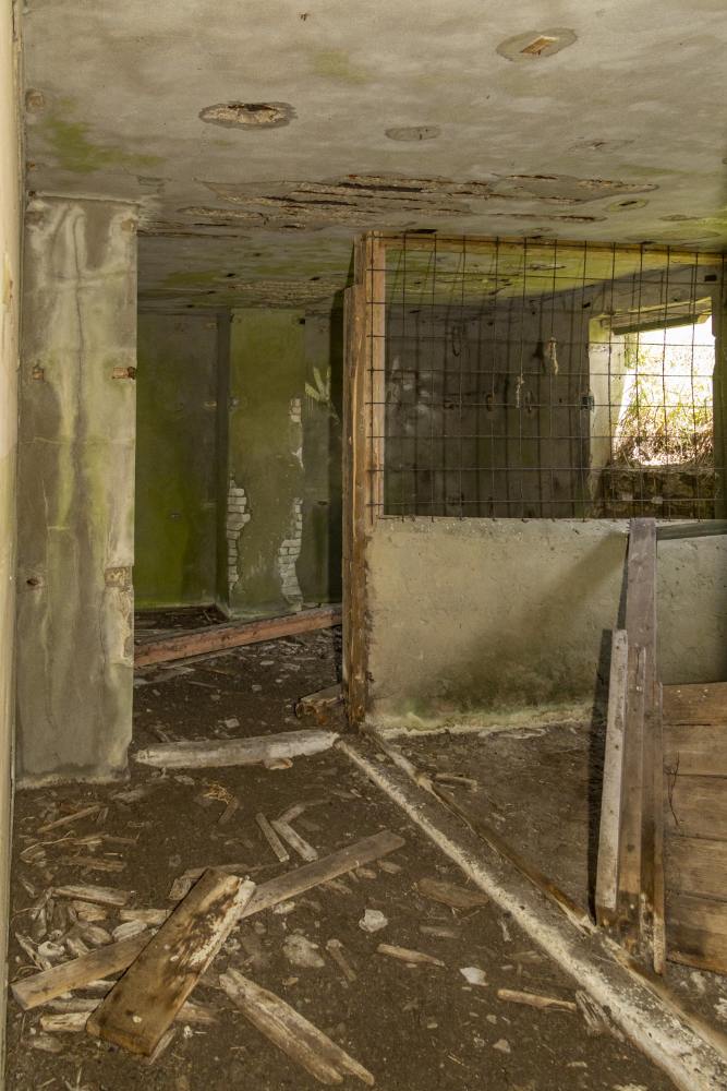 Fliegerhorst Bergen: Wn. 7 - Küver 450b Bunker (P46) #5