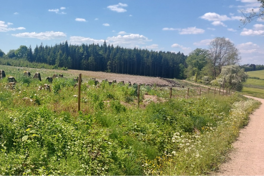 Westwall - Tank Barrier Großkampenberg  - Walterbach seite