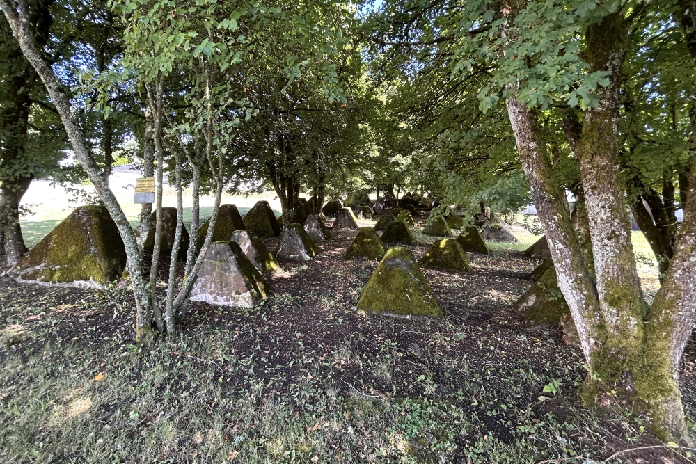Siegfriedline, Walhausen #3