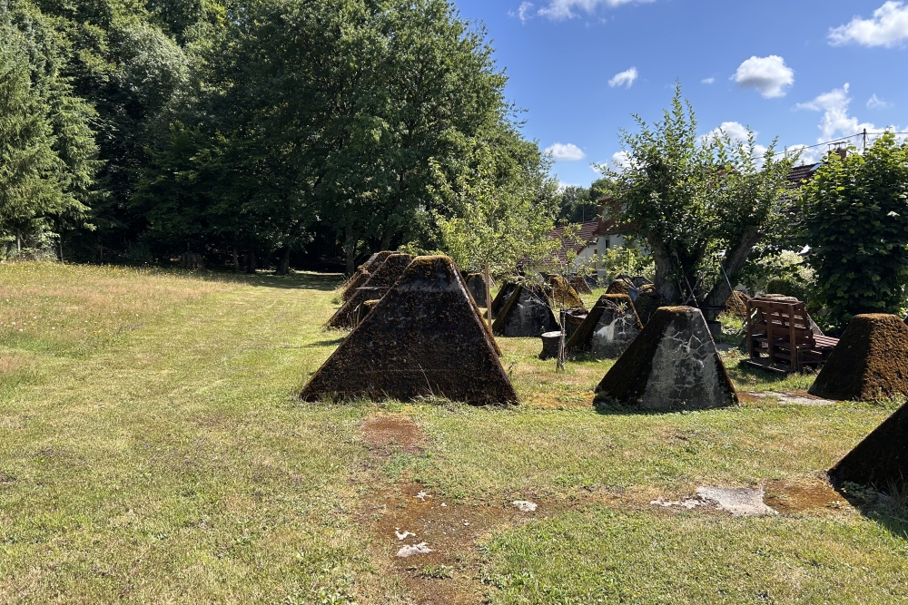 Siegfriedline, Walhausen #5