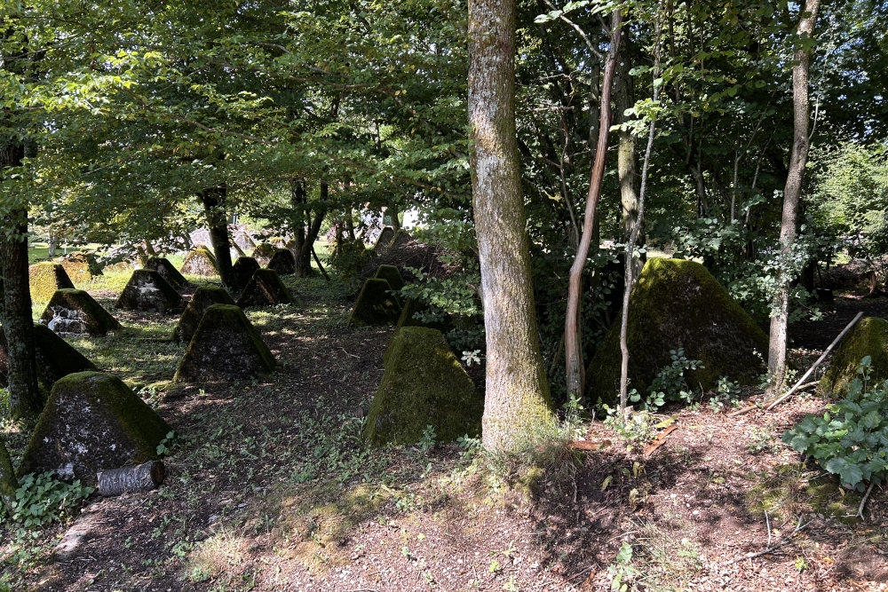 Siegfriedline, Walhausen #4