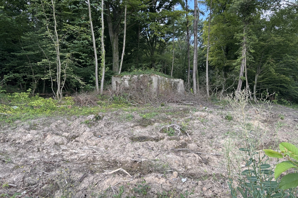 Bunker PFN, fort de Dave #5