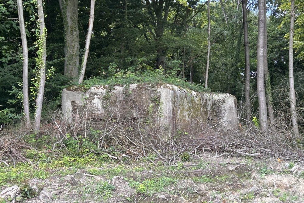 Bunker PFN, fort de Dave