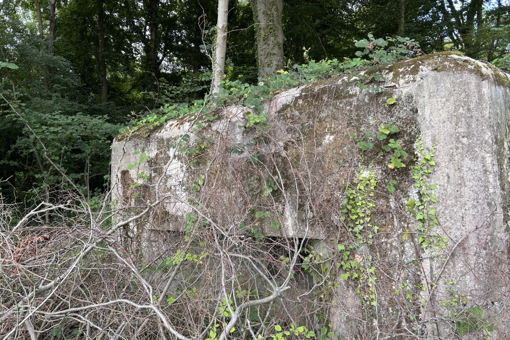 Bunker PFN, fort de Dave #2