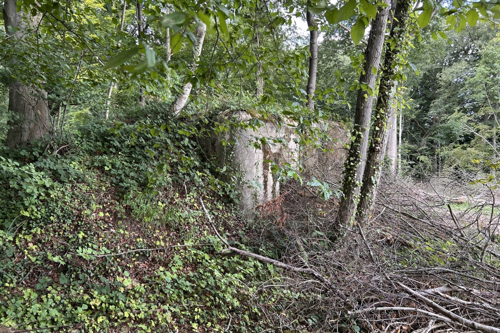 Bunker PFN, fort de Dave #3