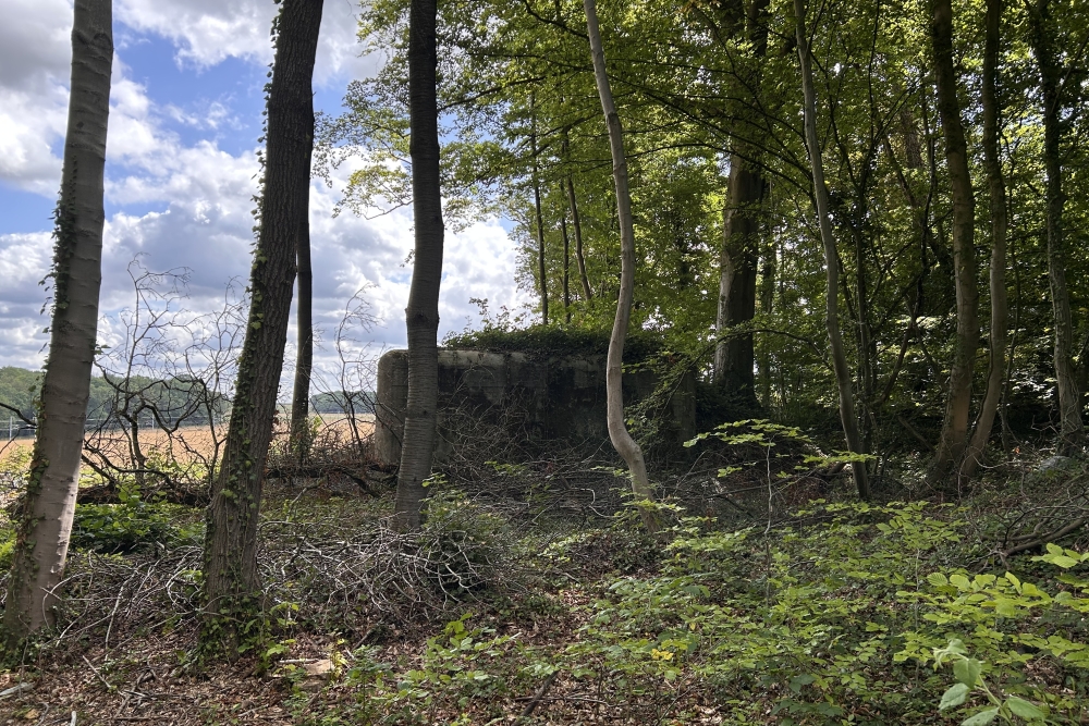 Bunker PFN, fort de Dave #4
