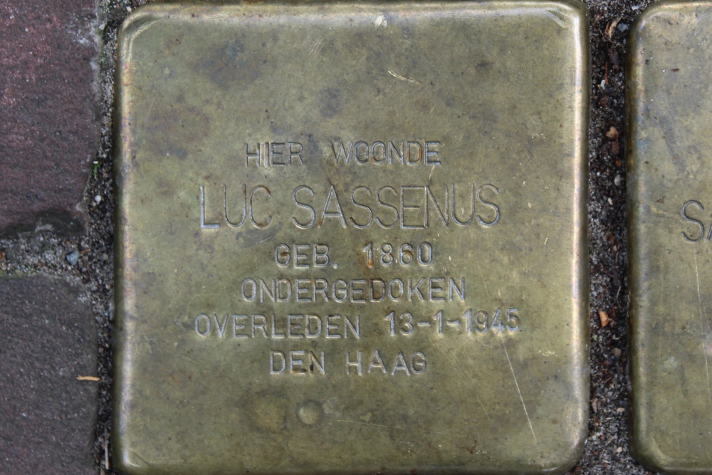 Stolpersteine  ingang van het Koningin Sophiepark #2