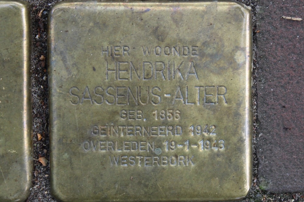 Stolpersteine  ingang van het Koningin Sophiepark #3