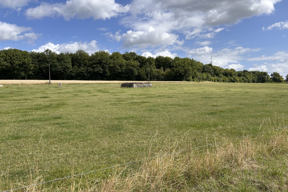 Bunker BM-30, Loyers #5