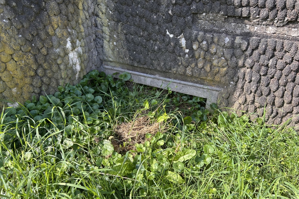 Bankside bunker, Wanze #4