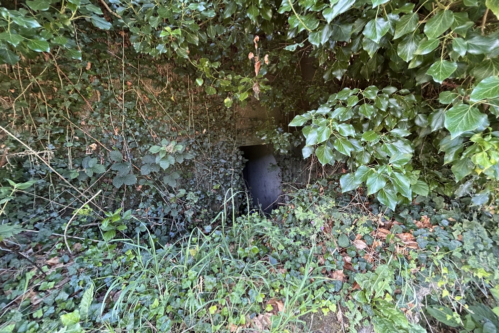 Bunker, Java #2