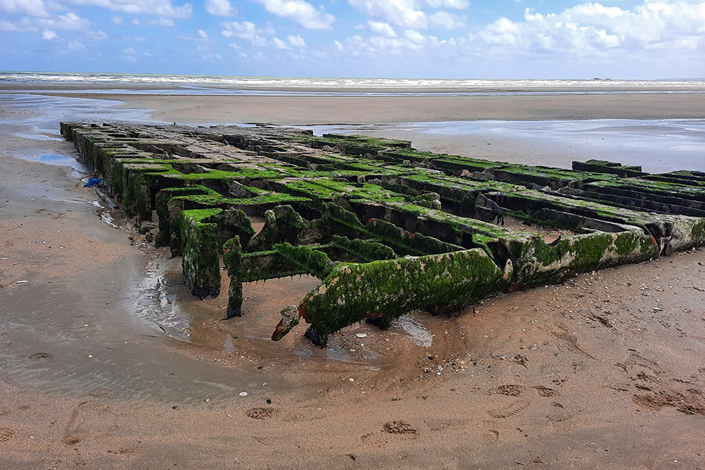 Remains Rhino Ferry