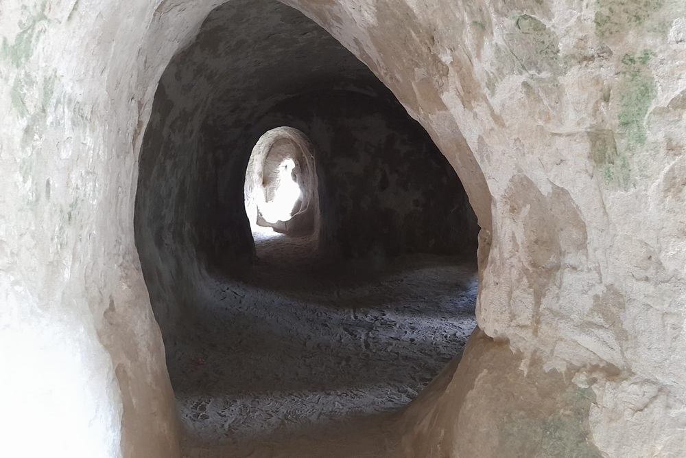 Fortifikation Murten - Grotten Mont Vully #4