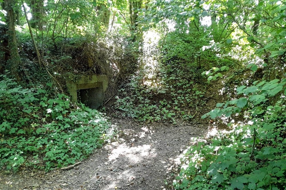 Fortifikation Murten - Infanterie-Stützpunkt Mont Vully #5