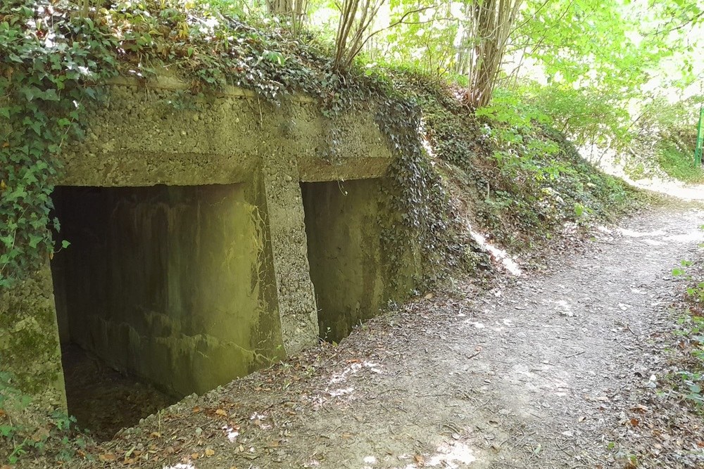 Fortifikation Murten - Infanterie-Stützpunkt Mont Vully