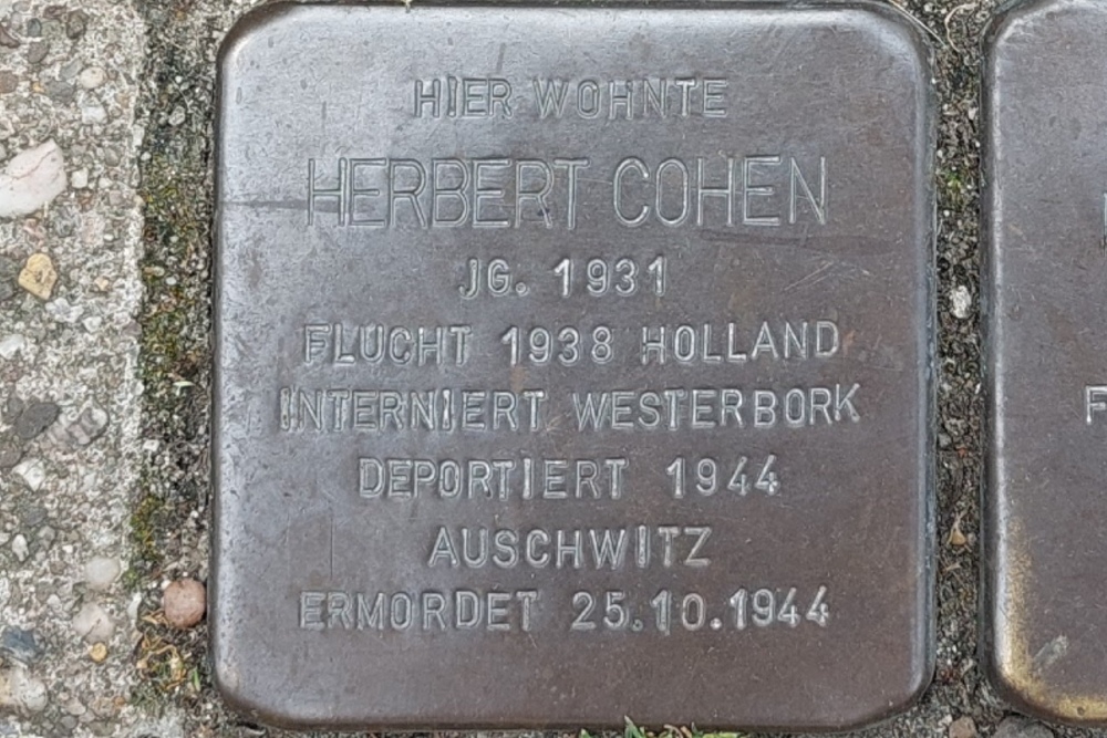 Stolpersteine Herzogenstraße 8 #4