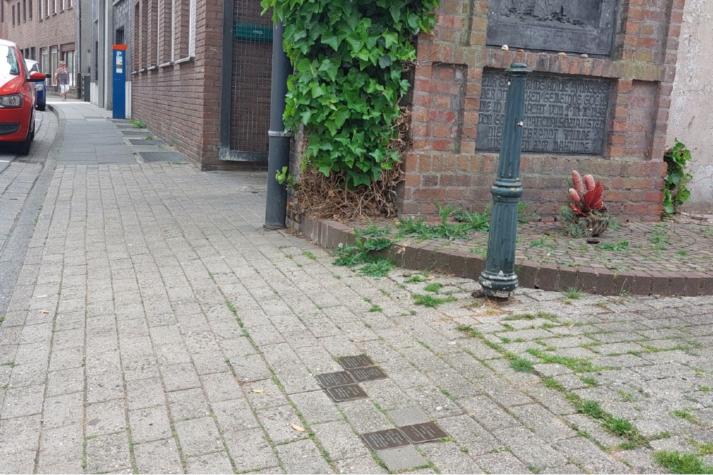 Stolpersteine Herzogenstraße 8 #8