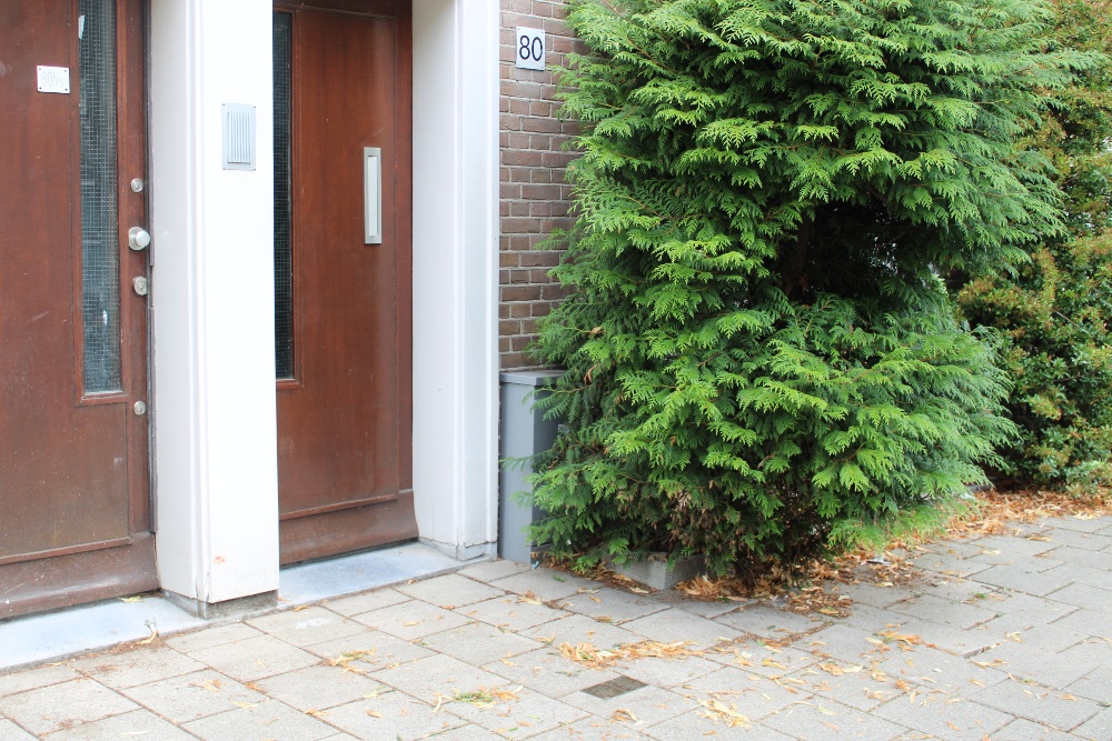 Stumbling Stones Uiterwaardenstraat 80 #4
