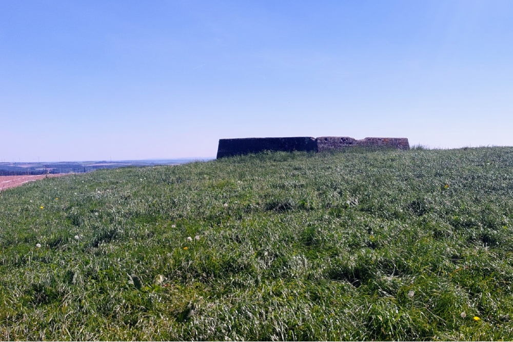 Westwall - Bunker Bauler