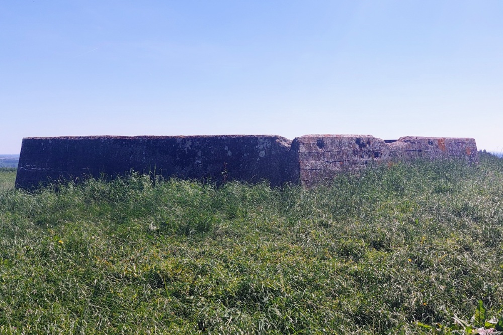 Westwall - Bunker Bauler #2