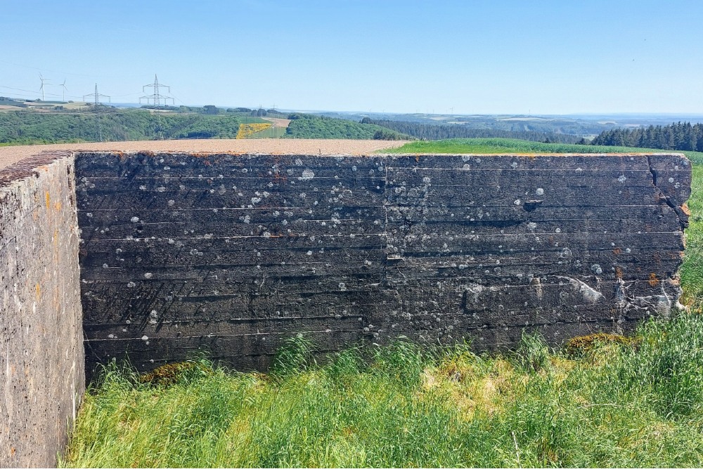 Westwall - Bunker Bauler #3