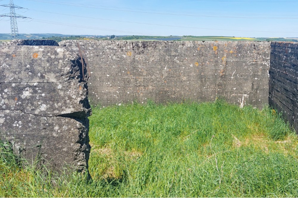 Westwall - Bunker Bauler #5