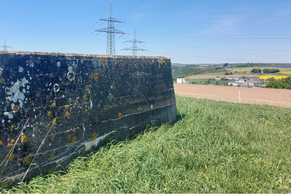 Westwall - Bunker Bauler #6