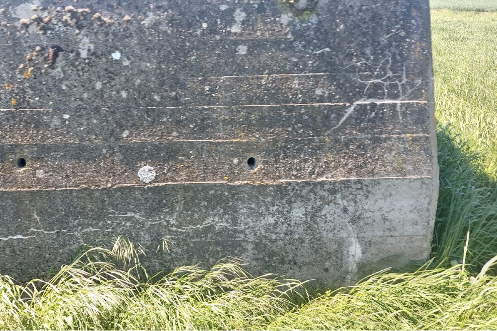Westwall - Bunker Bauler #7