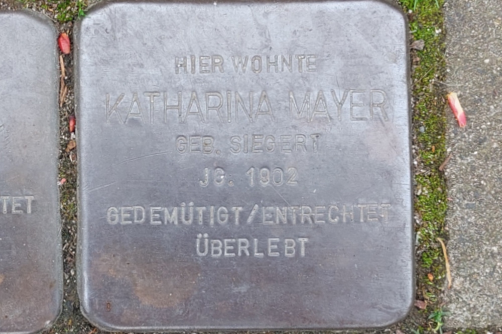 Stolpersteine Parkstraße 17 #5