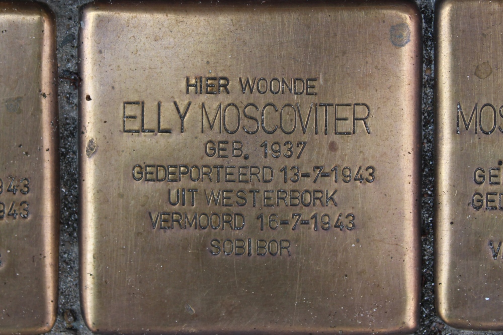Stolperstein Waverstraat 95-III #6