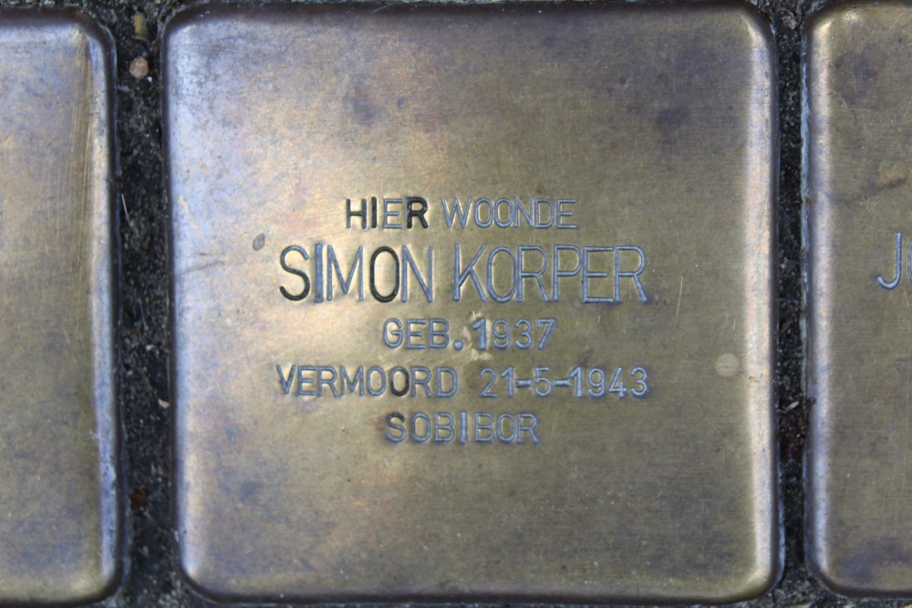 Stumbling Stone Blasiusstraat 84 #6