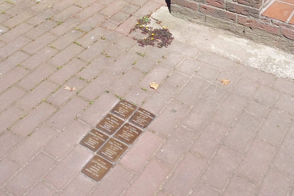 Stolpersteine Scharnstraße 14 #4