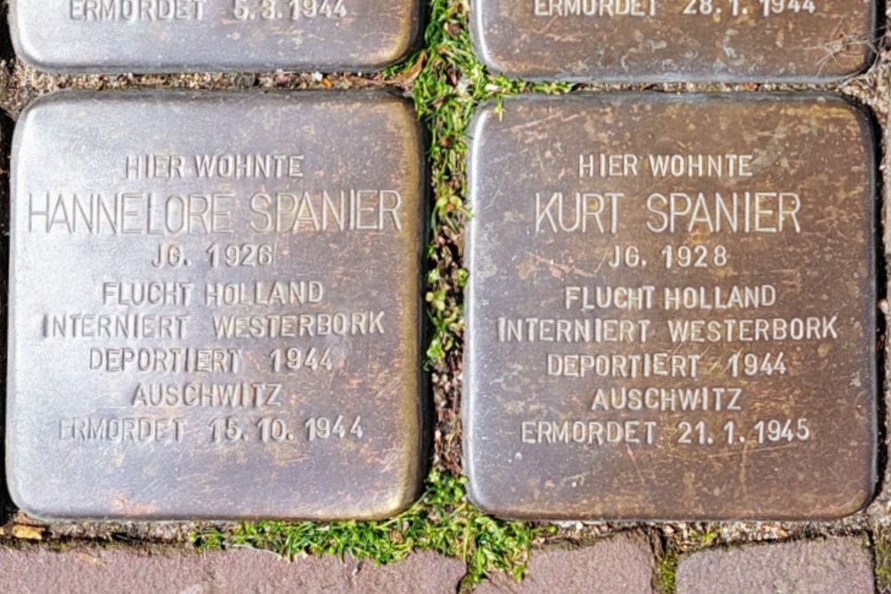 Stolpersteine Monrestraße 22 #5