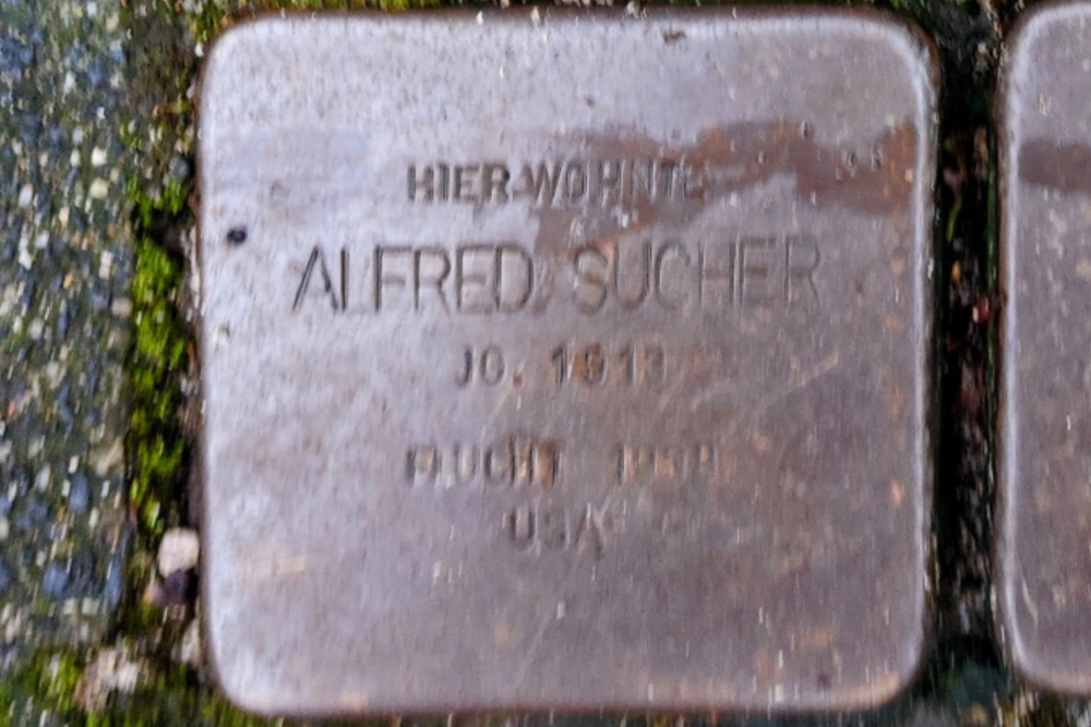 Stolpersteine Brabanterstrase 24 #6
