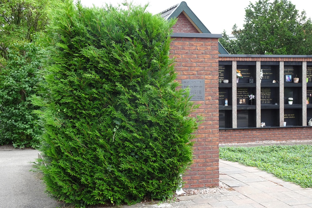 Gedenkteken Rubertus Rietveld #3