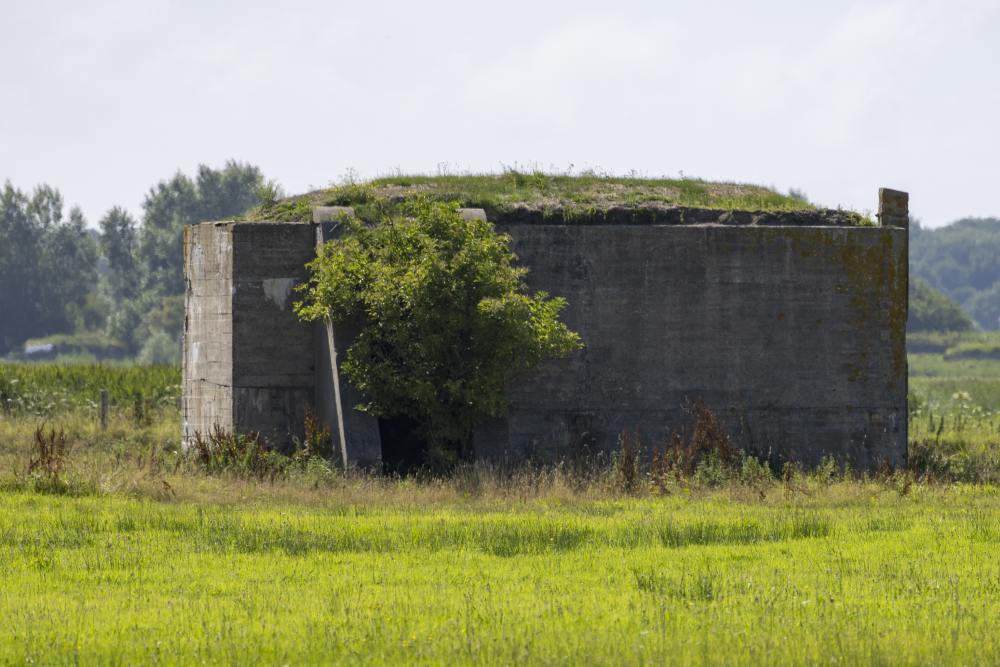 Fliegerhorst Bergen: Wn. 3 - Küver MG35 Bunker (C26) #5