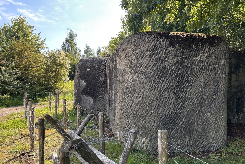 Bunker F sector Eigenbilzen-Briegden #2