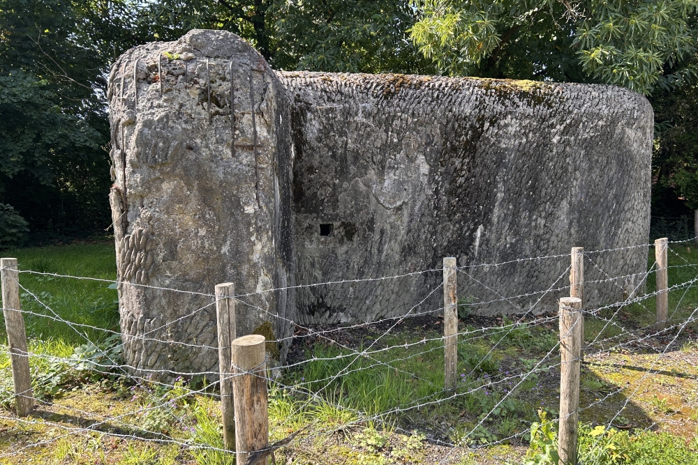 Bunker F sector Eigenbilzen-Briegden #3