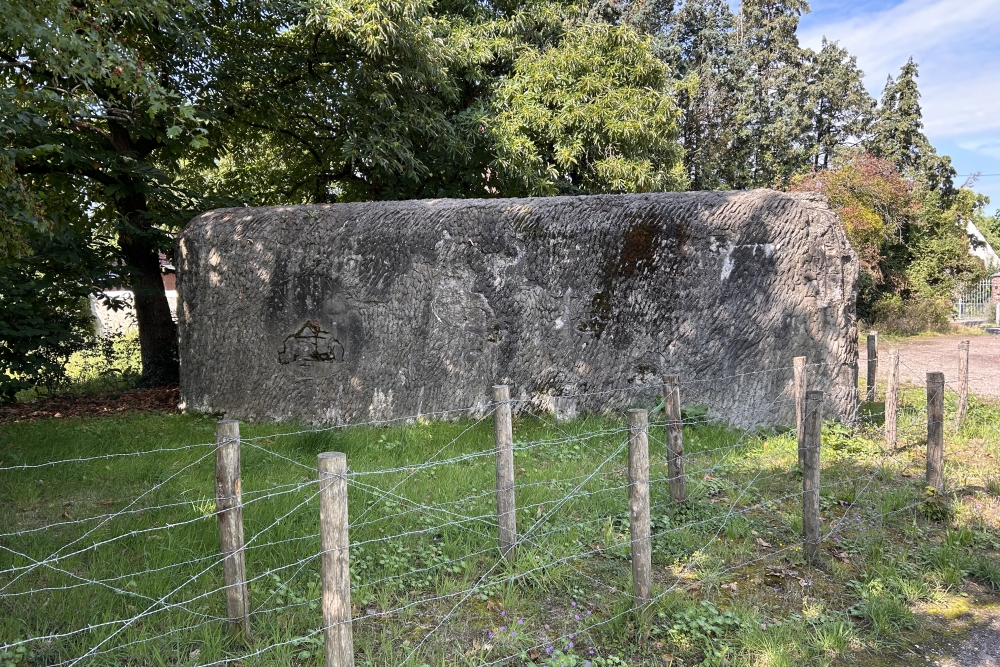 Bunker F sector Eigenbilzen-Briegden #4