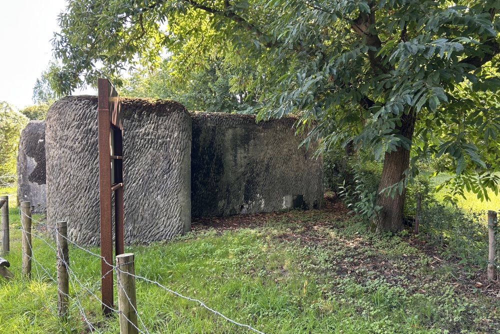Bunker F sector Eigenbilzen-Briegden #5