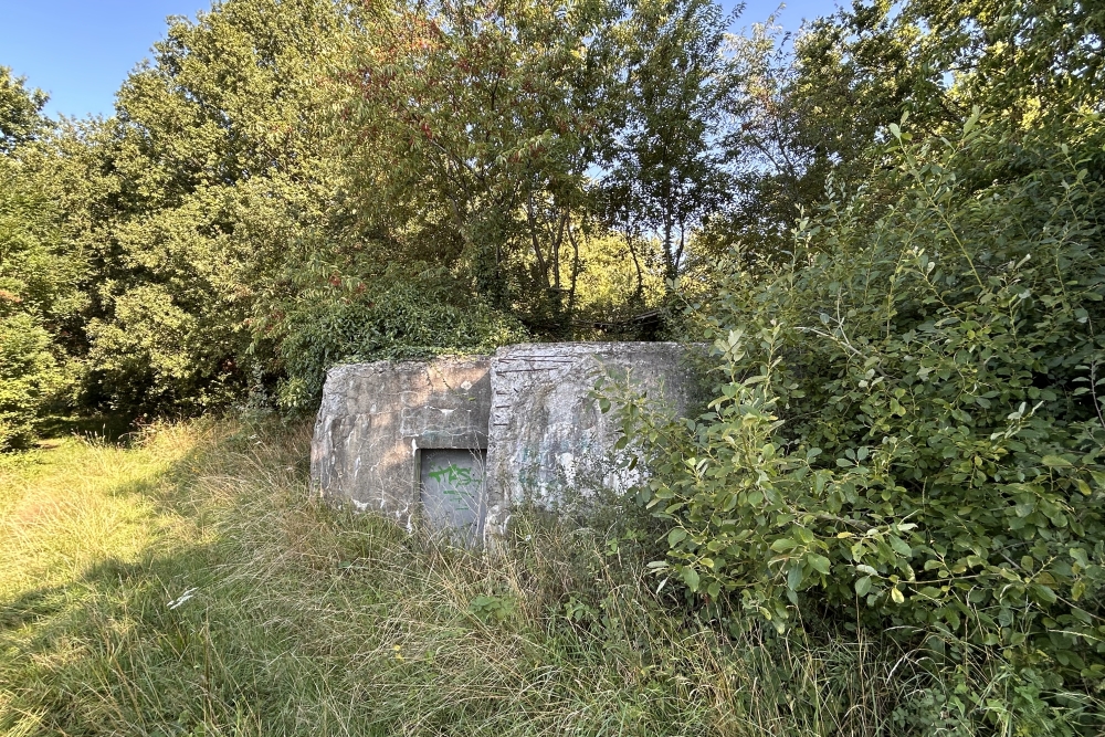 Machine Gun Bunker B Sector Eigenbilzen-Briegden #4