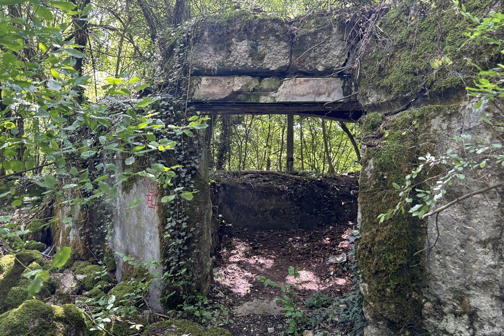 Westwall - Restant Bunker Echternacherbrück #1