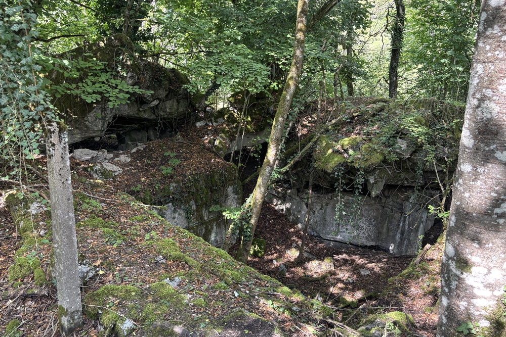 Westwall - Restant Bunker Echternacherbrück #2
